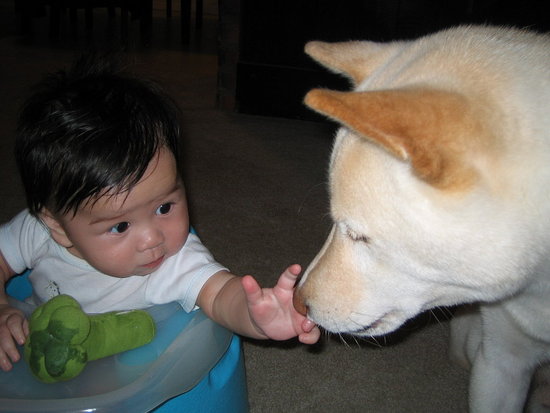 Jack and Atari. Jack and Atari.